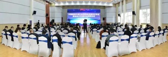 不朽情缘-官方网站